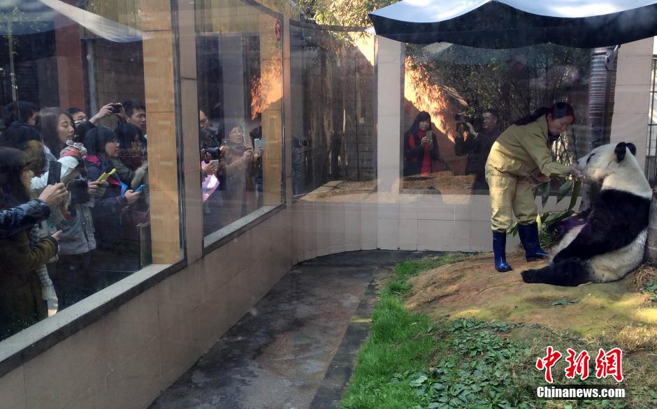 �M�D�����ٚq����؈���ǰ�˹���_����������