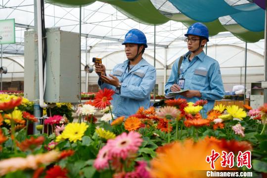 �_����ɽ���m����ؐ��ʮ���� ��늱��硱���o�`��