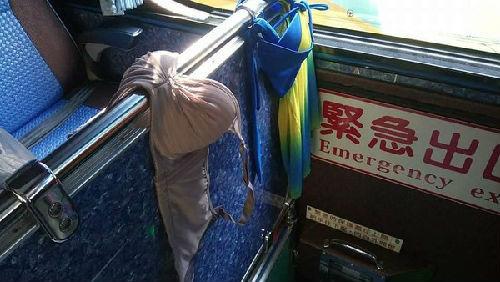 ����ο�ֱ�������[܇�������(n��i)�¡����Y�ψDƬ���_(t��i)���|ɭ���W(w��ng)��