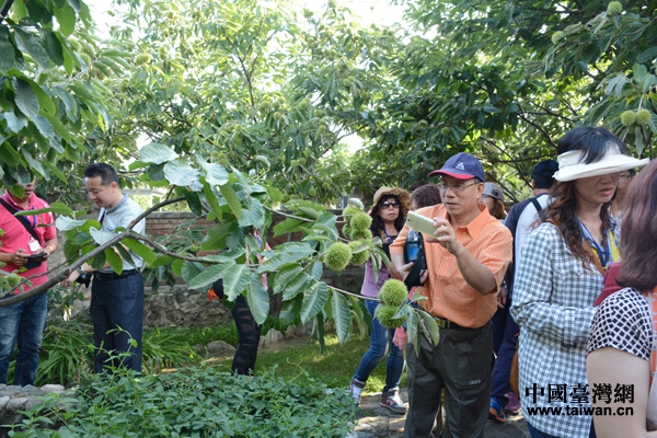 ���ۅ��L�F(tu��n)��(du��)������(sh��)�c�t��ëɵɵ�ֲ����