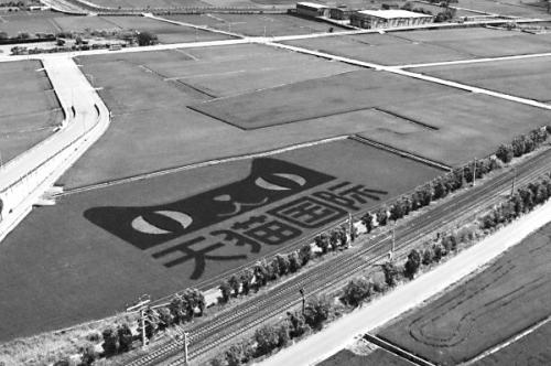 ������N��؈�����_���đB���s�I���g����Y���֡�