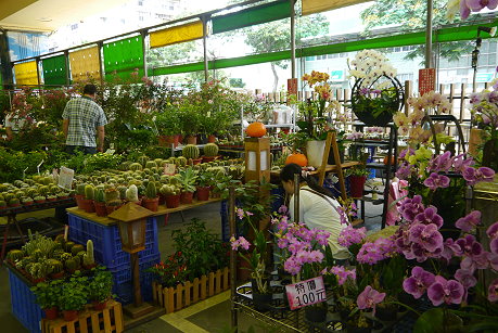 �������ջ���