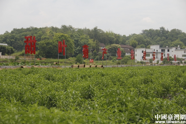 ���R�^�е�Óؚ���¡����ʷ�ؚ���r(n��ng)�������ҳ�·