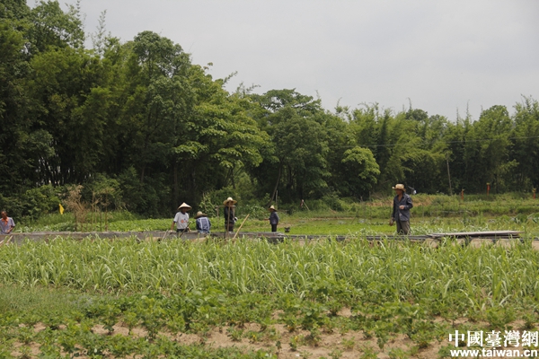 ���R�^�е�Óؚ���¡����ʷ�ؚ���r(n��ng)�������ҳ�·