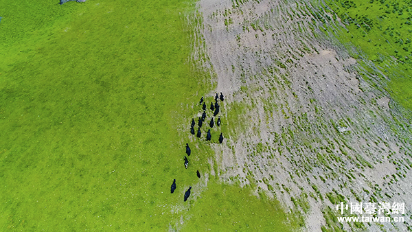 �����ݲ�ԭ�L(f��ng)��