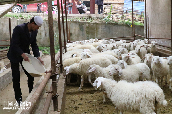 �t�Ǵ�����R������ι��