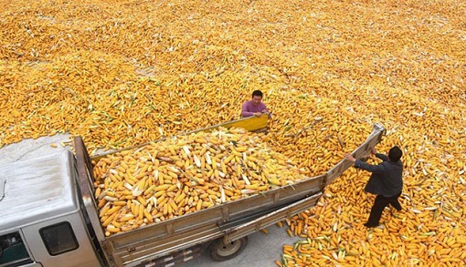 ��¶�r���ի@æ