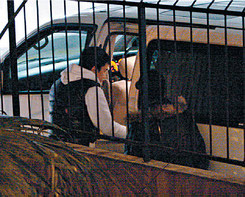 ��������¾��M�����;������t����ĸ(�M�D)