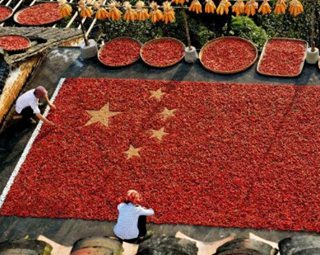 ������Դ������󋌡�ƴ����ӭ���c