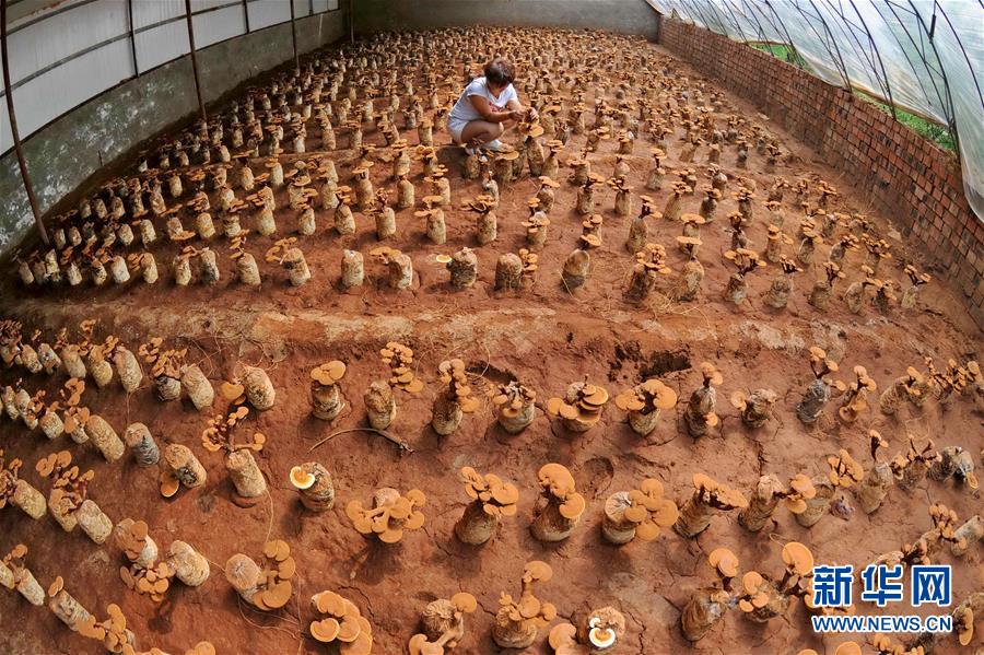 ��ɫ�a�I�������ʷ�ؚ