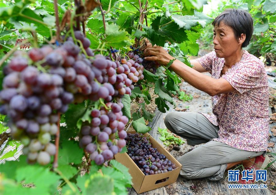 �ӱ����أ�����ʩ�� �������ԡ�˦�Fñ��