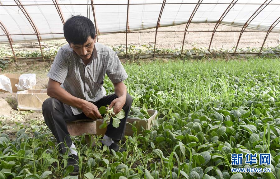 �½����������ӡ������������Óؚ