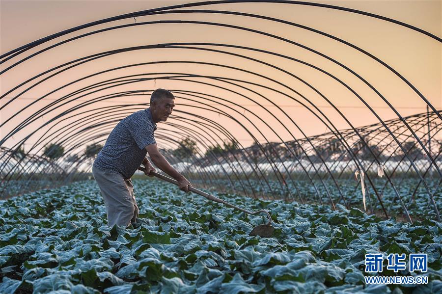 ���_ؚ������ʯ�^���������K�_�ϝhÓؚӛ