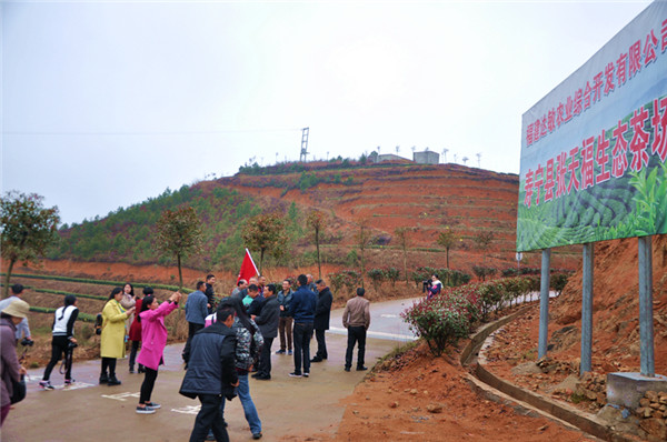 �}�|���l�У������������B��@ Ʒ��ɽ����