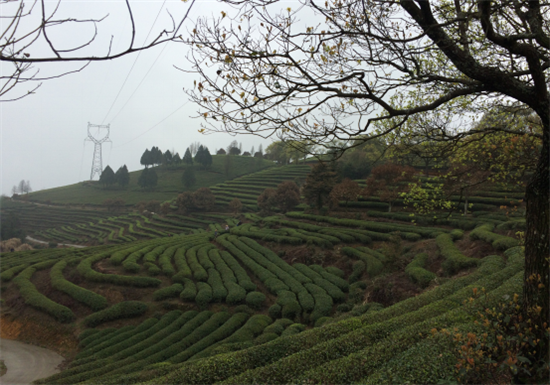 �}�|�衤���z����ȫ���W�jý�w�}�|���l�С����M����