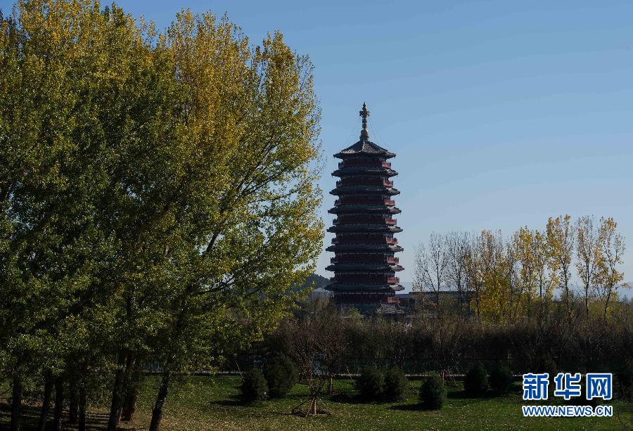 �����M��APEC�r�g