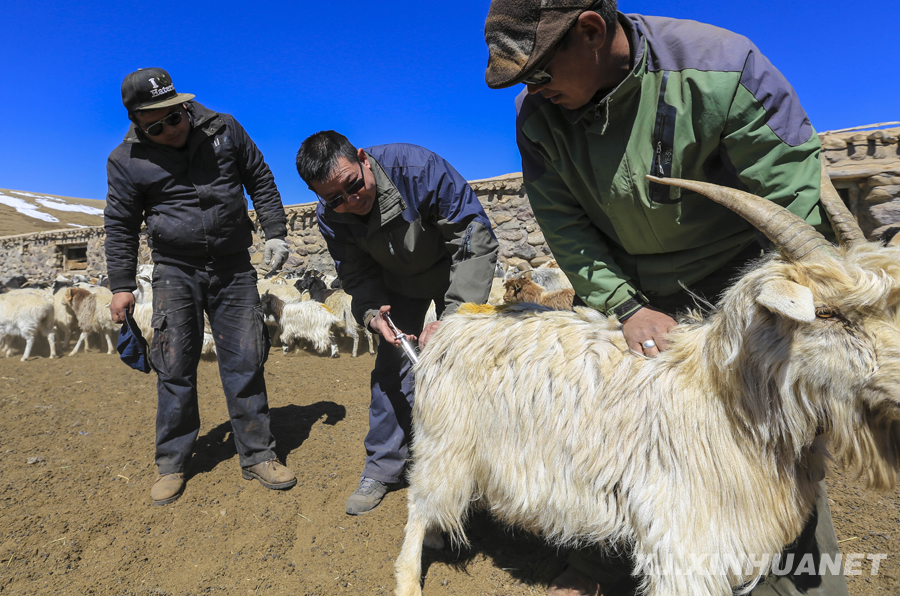 ���x���� �����B�Ę򡱡��½��_չ���L����,������,�����ġ���Ӽo��