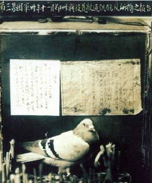 �U�@����܊ͨӍ�������y��(b��o)�档