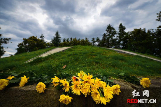 �����Ͽ�������Ѳ�Y������������꿹����̶���۹��Ӱ���