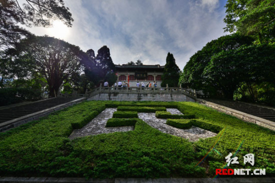 �����Ͽ�������Ѳ�Y�����L�F̽�L���������z�E