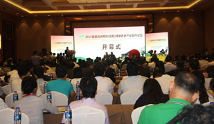 �׌ú��{�ɰ������B�Ϯa�I����Փ���ںϷ��_Ļ