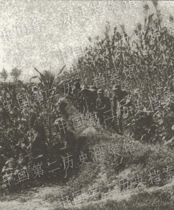 �Ї��ܽ��n�����ļ����Ї������ľֲ�����(��)