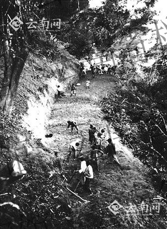 ȫ���忹��(zh��n) ���ϙn��ӛ��(��):�ᾒ��· ����(zh��n)��Ѫ����