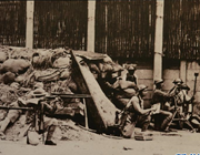 ��Ѫ�����A�����|���L�ǡ�������ȫ�濹���ʷԊ�v��