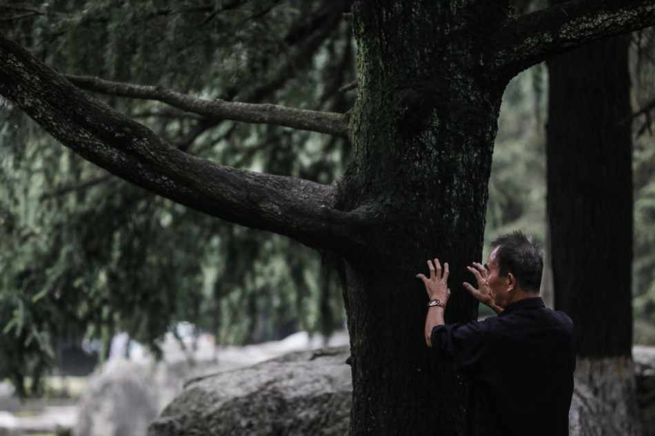 �Ͼ����W�����l�����\�ӟ���