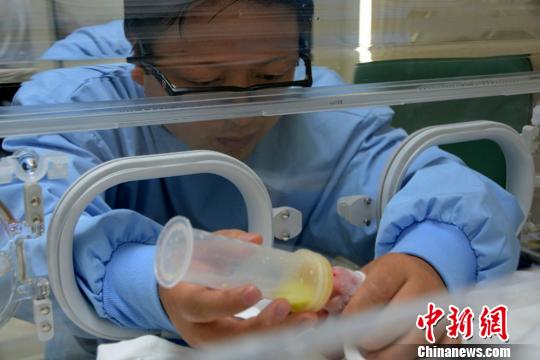 �Ĵ���؈����4��8�θ��_�F�F���A�A�K�ɡ�������