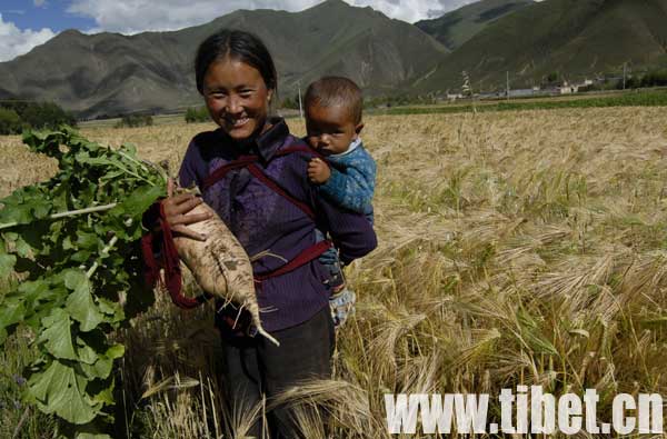 ���������Լ��ĺ��������������S�յĹ�����Ę���鲻�Խ���͸��ϲ����Ц������