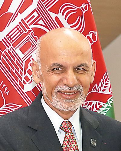 ���������y����