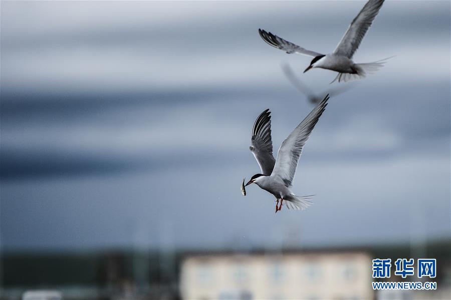 (�D�Ļ���)(10)����r��������d�ĉ������¡������ڡ��Ї��������������֮�H