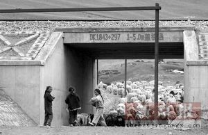 ����F·�h�u���8�³��_