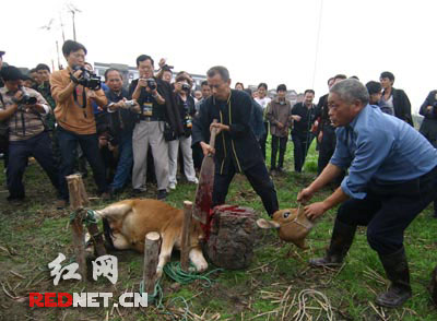 �����»��״ι��݂��y(t��ng)���׃��x��߀������Ը��(�M�D)