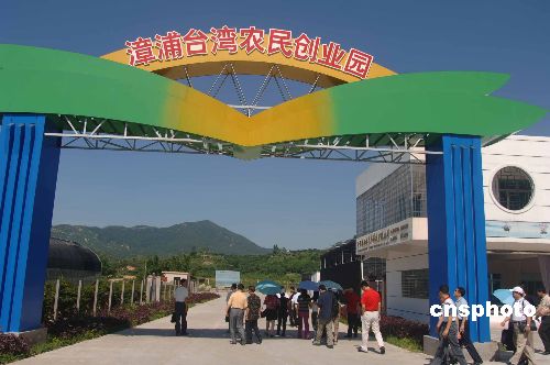 �_�r�������_���r�񄓘I�@���҂��Ǻܴ�Ĺ���