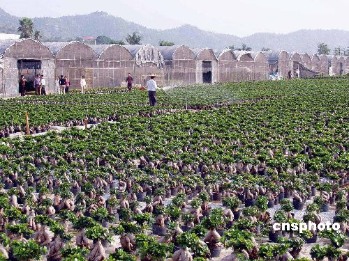 �_�r�������_���r�񄓘I�@���҂��Ǻܴ�Ĺ���