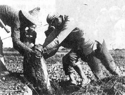 �����ظĸ﷨������ʩ�� �����\(y��n)��ȫ��չ�_