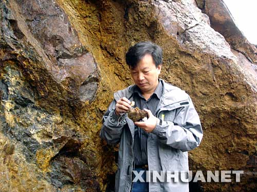 9��8�գ�����ʡ���|�V�a�����_�l�ֿ����̎����Ĳ�������ʡ��������h����Ұ����|�{�顣 ���Ĳ�������ʡ���|�V�a�����_�l�ֿ����̎��������ֵġ����ϡ��������؅^�~�����ٳɵVϵ�y�c�����u�r���Ŀ���ڳɵV��Փ���ҵV���g��ȡ���ش�ͻ�ƣ�ȥ��s�@���ҿƼ��M��һ�Ȫ���20����������Ĳ������ڡ��������؅^���錤�Ҍ��ض��D����档 ���A��l