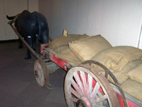 �ͼ������^��Ƭ-ţ܇