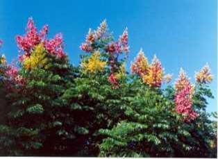 �h���_�����(���߾�)�D