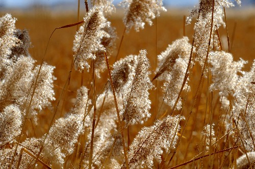 ���_��������JȔ����2��1�Քz���� ���A��ӛ�� �X�� �z