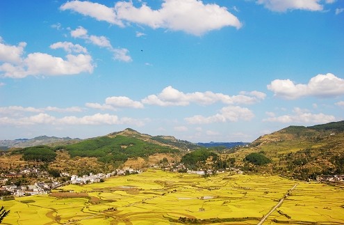 �F�� ����