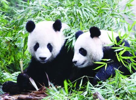 �����ϣ���͡��F(tu��n)�F(tu��n)����